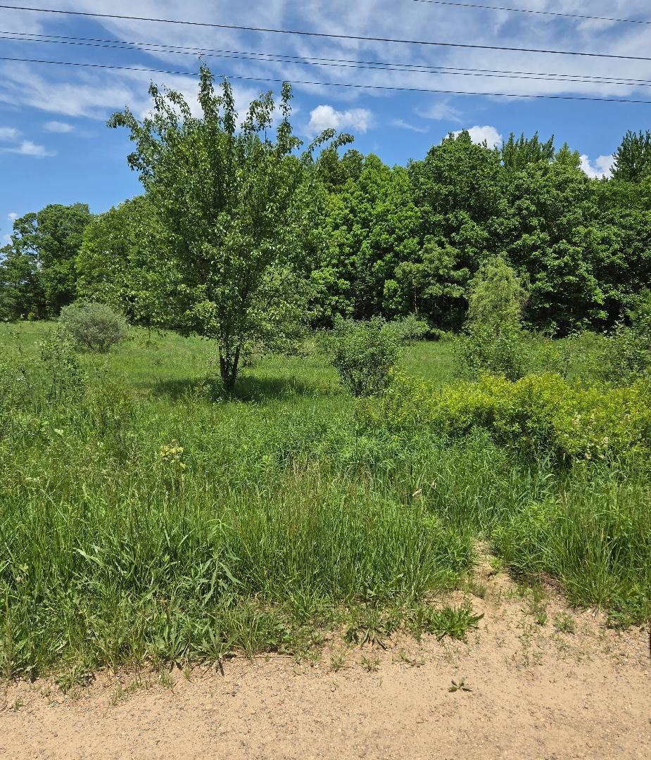 475 Tyler Road Wayland, MI 49348 - Photo 16 of 40 ty-39