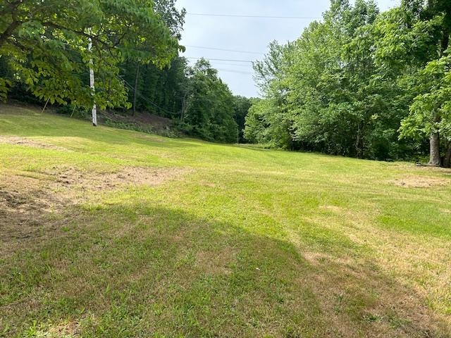 1625 New Buckley Road Ashland, KY 41102 - Photo 13 of 15
