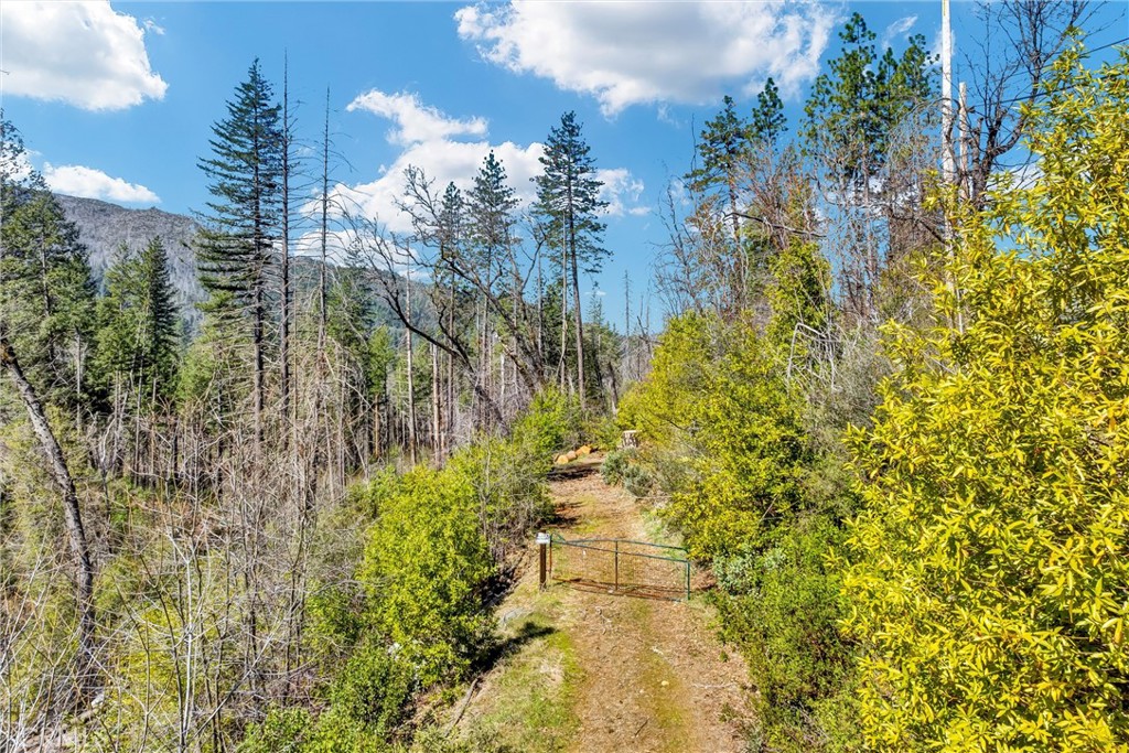 12061 Gifford Springs Road Cobb, CA 95426 - Photo 1 of 16 a view of a city with flower plants