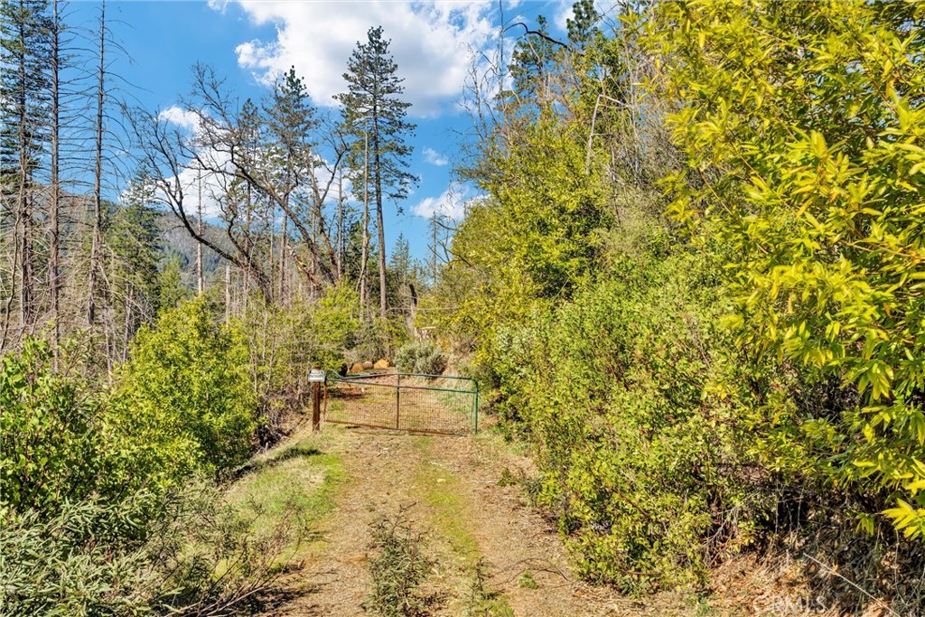 12061 Gifford Springs Road Cobb, CA 95426 - Photo 11 of 16 a backyard of a house with large trees