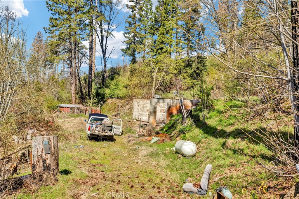 12061 Gifford Springs Road Cobb, CA 95426 - Photo 14 of 16