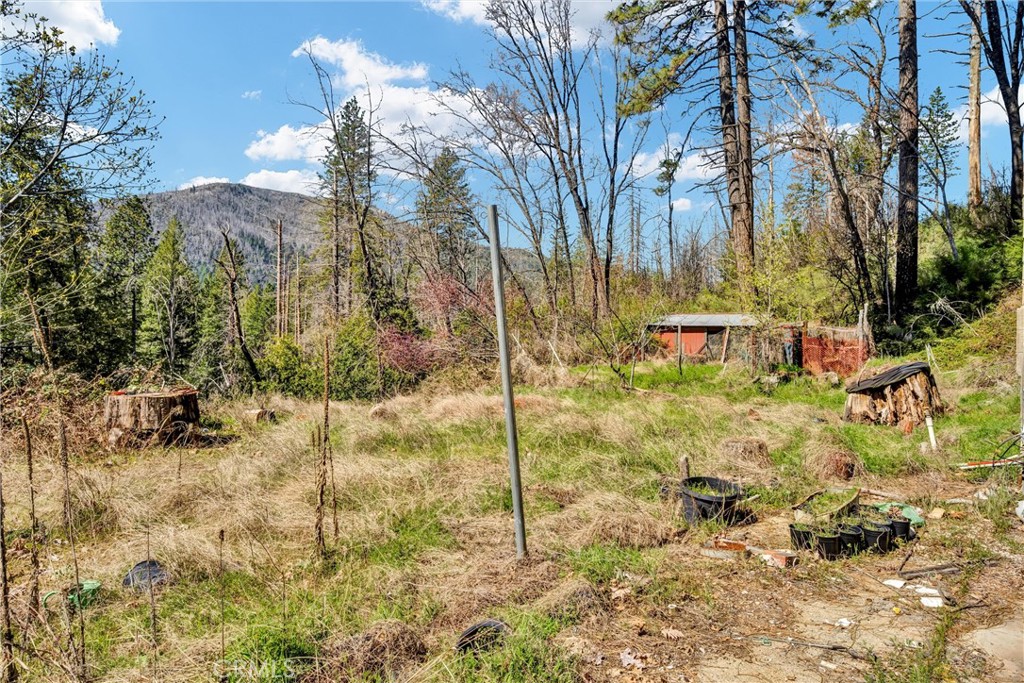 12061 Gifford Springs Road Cobb, CA 95426 - Photo 16 of 16 a backyard of a house with table and chairs