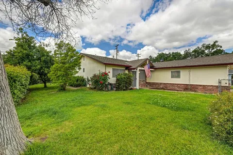 a backyard of a house with plants and large tree