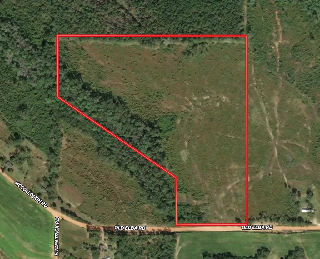30-ac West Old Elba Road Coffee Springs, AL 36318 - Photo 15 of 19