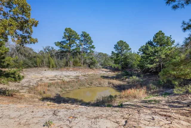a view of a backyard of a house