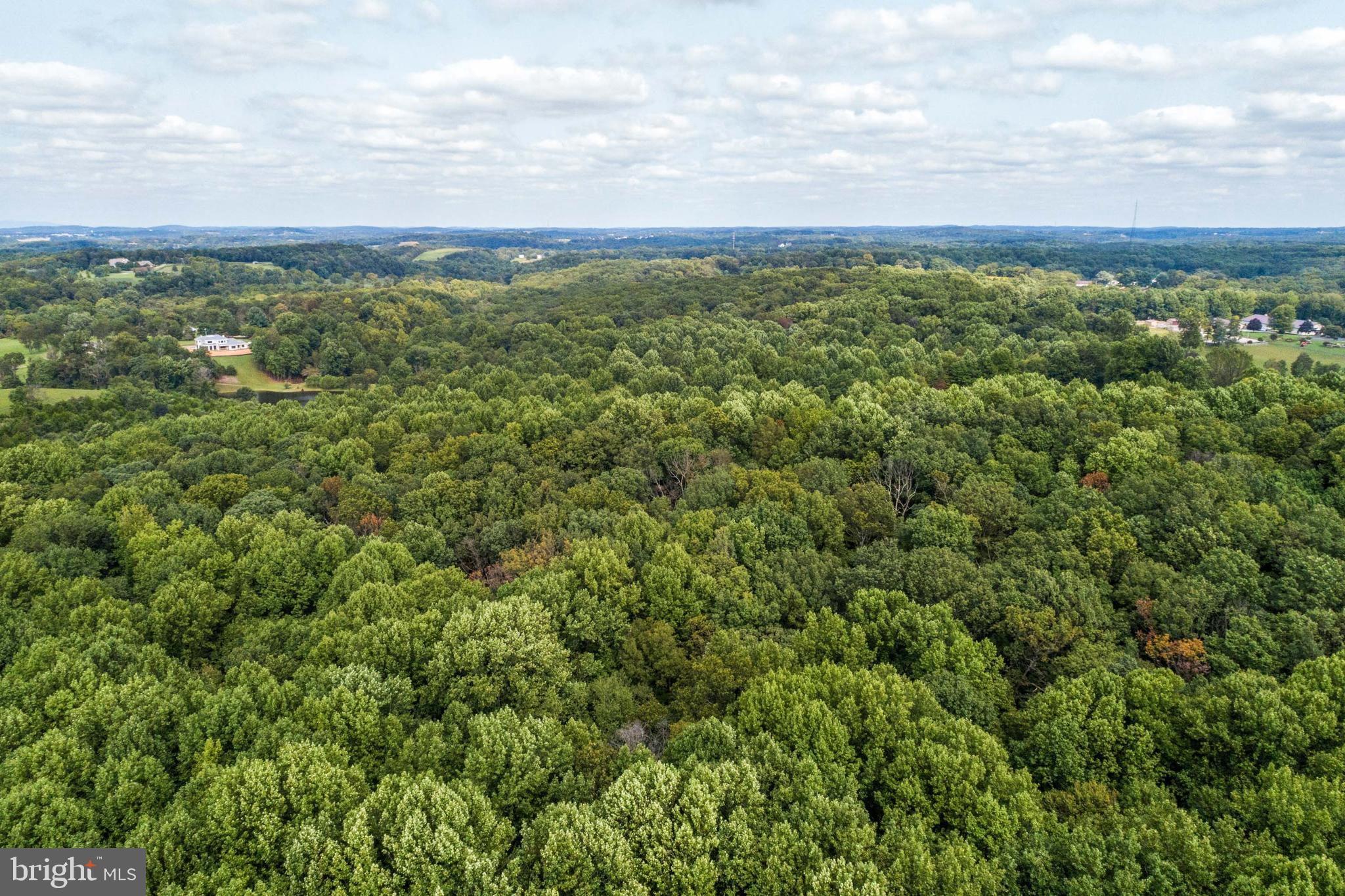16201 Comus Road Clarksburg, MD 20871 - Photo 7 of 45