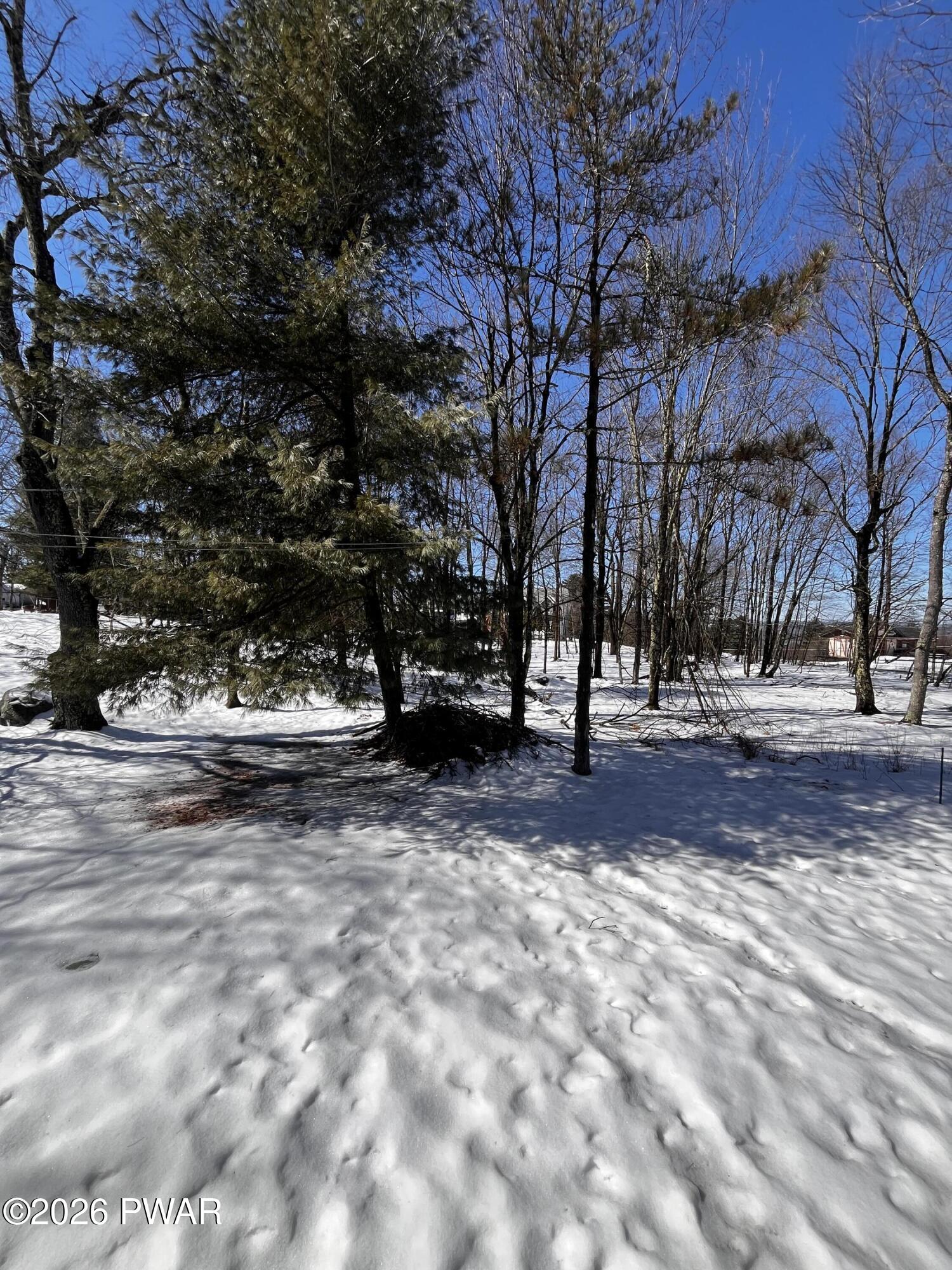 33 Alpine Rd Beach Lake Beach Lake, PA 18405 - Photo 29 of 35