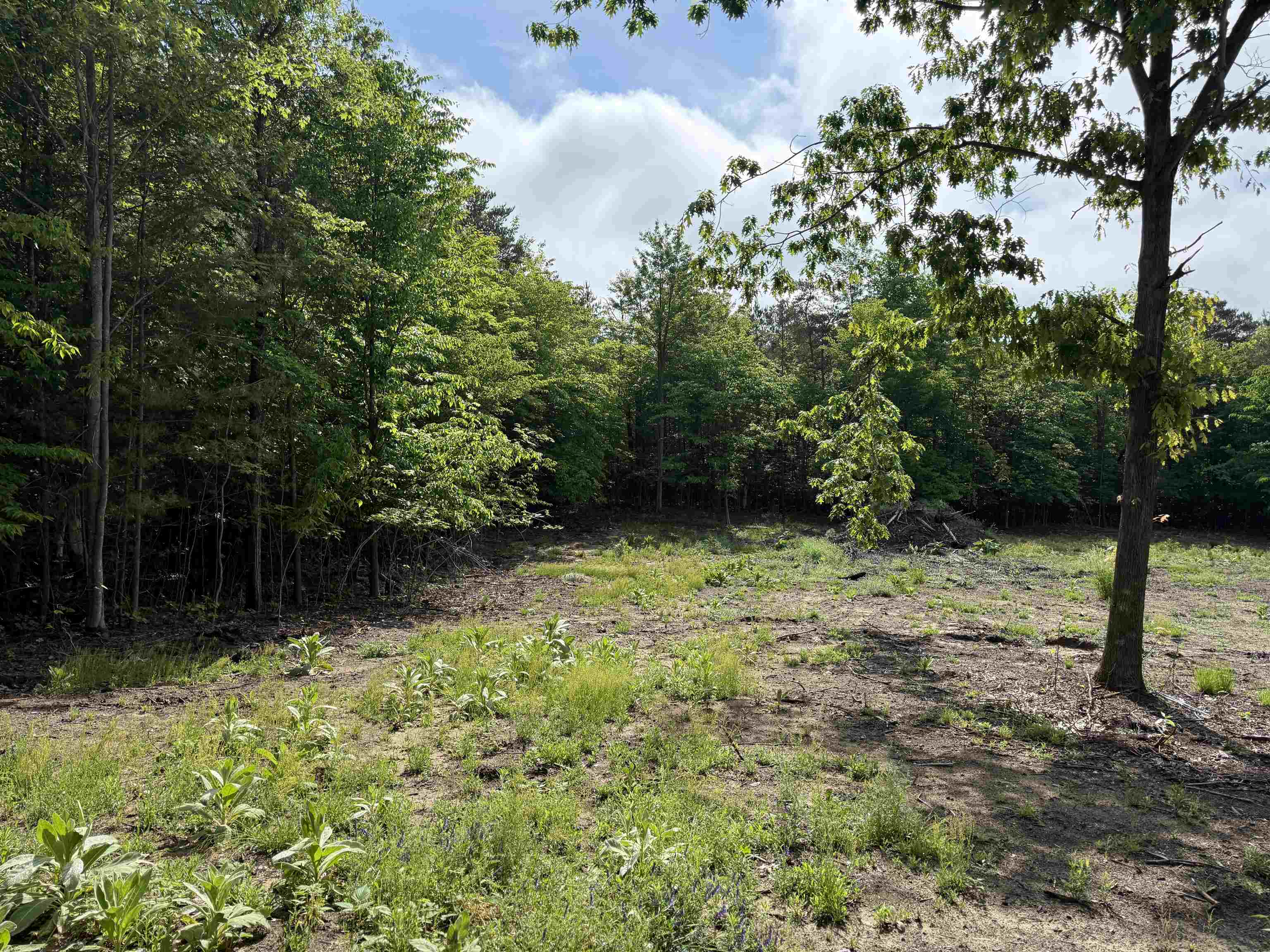 19493 Paradise Ridge Trail Cedar, MI 49684 - Photo 3 of 19