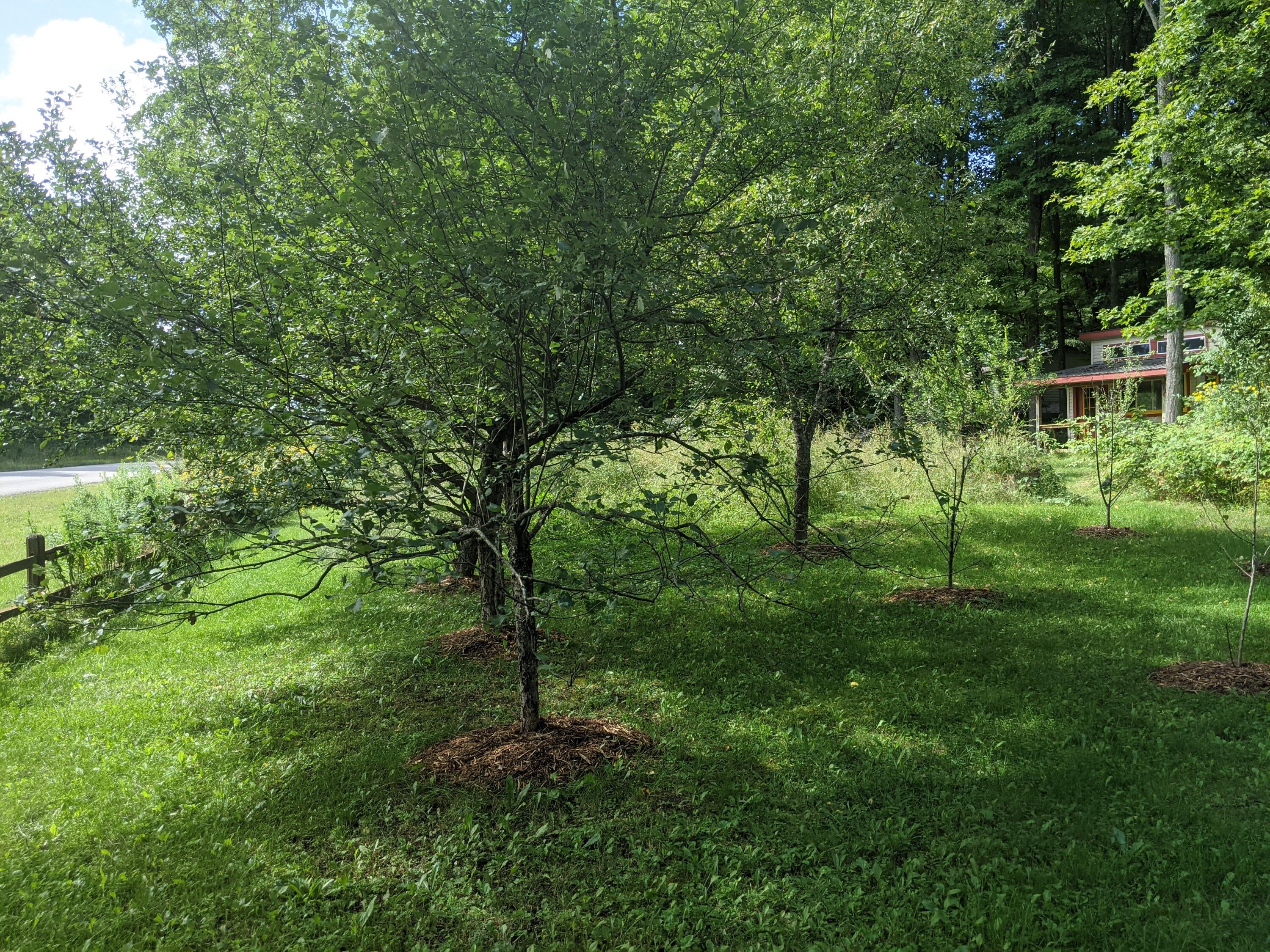 4480 Hallenius Road Gaylord, MI 49735 - Photo 99 of 104 Gallery Image 99