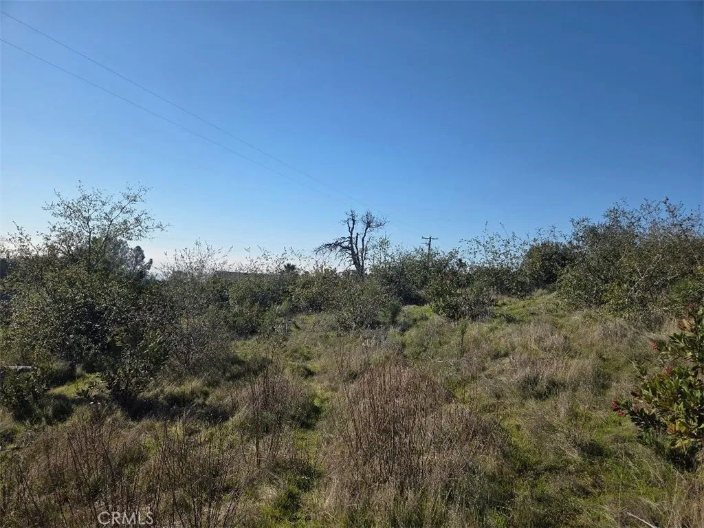 0 Nikki Jo Road Oroville, CA 95966 - Photo 13 of 22