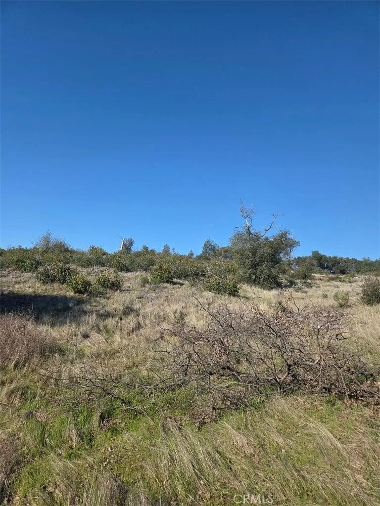 0 Nikki Jo Road Oroville, CA 95966 - Photo 17 of 22