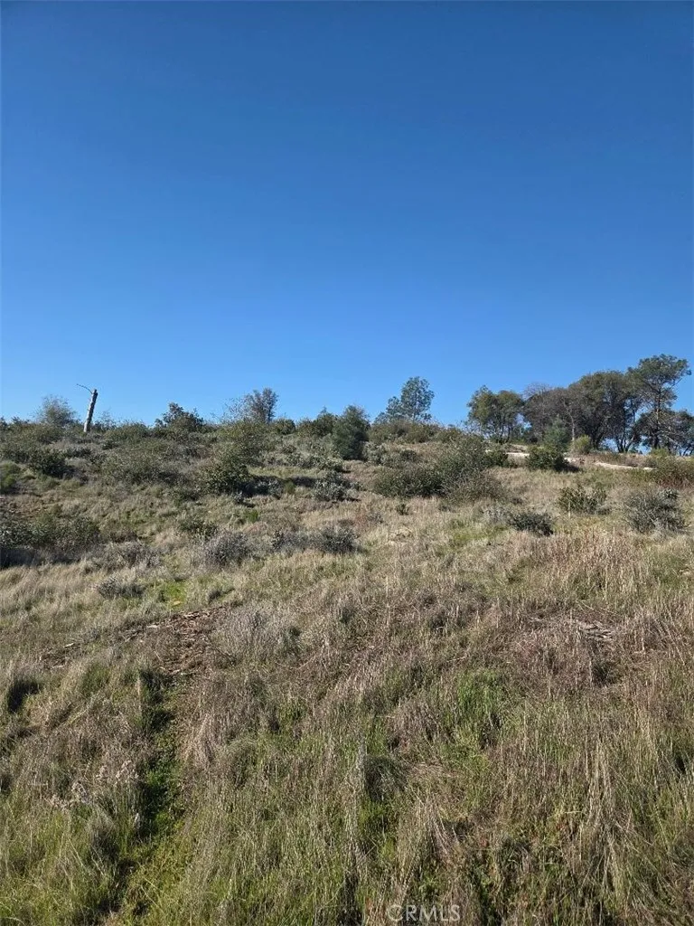 0 Nikki Jo Road Oroville, CA 95966 - Photo 18 of 22