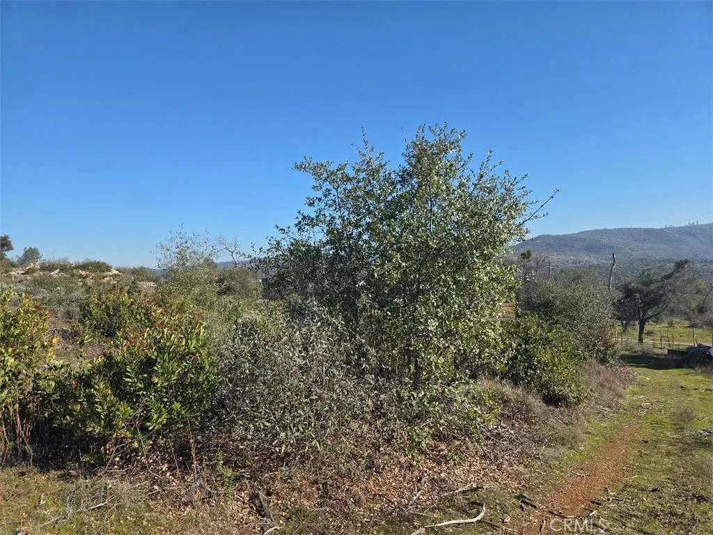 0 Nikki Jo Road Oroville, CA 95966 - Photo 21 of 22