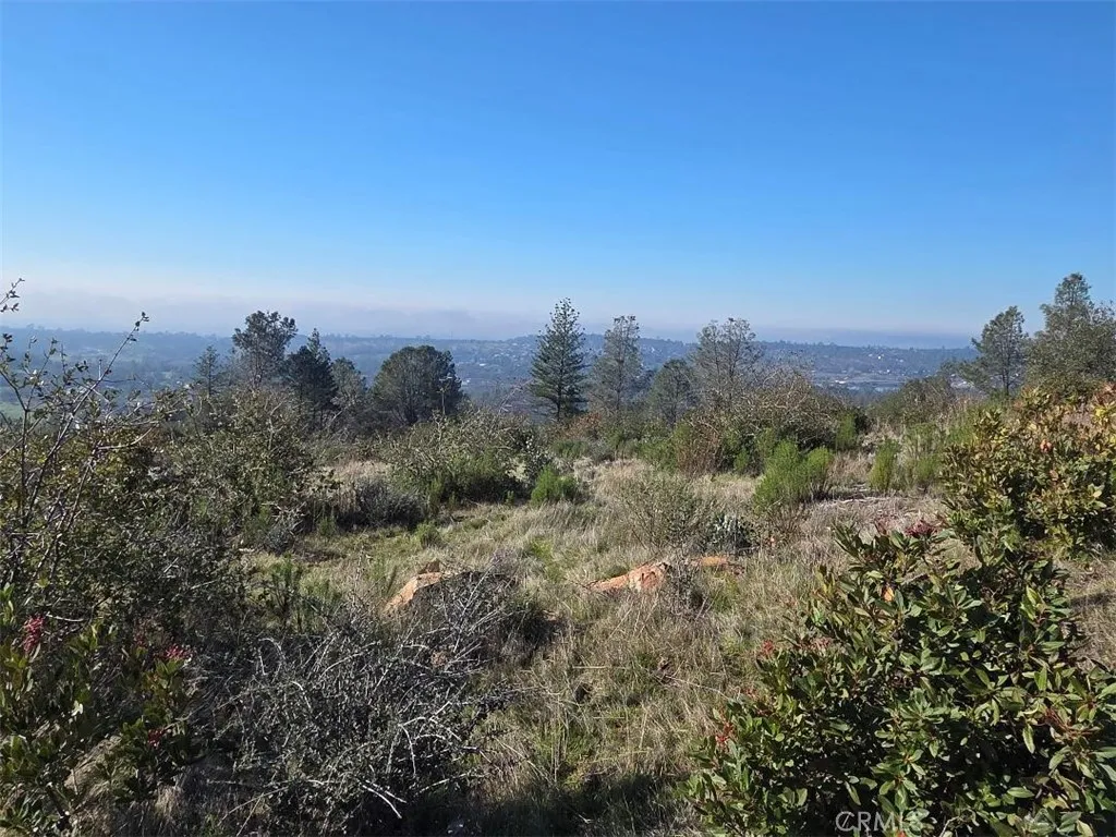 0 Nikki Jo Road Oroville, CA 95966 - Photo 4 of 22