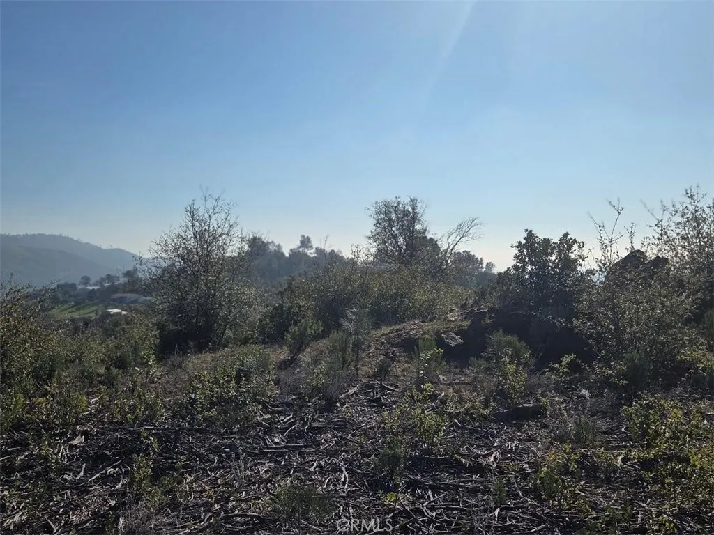 0 Nikki Jo Road Oroville, CA 95966 - Photo 7 of 22