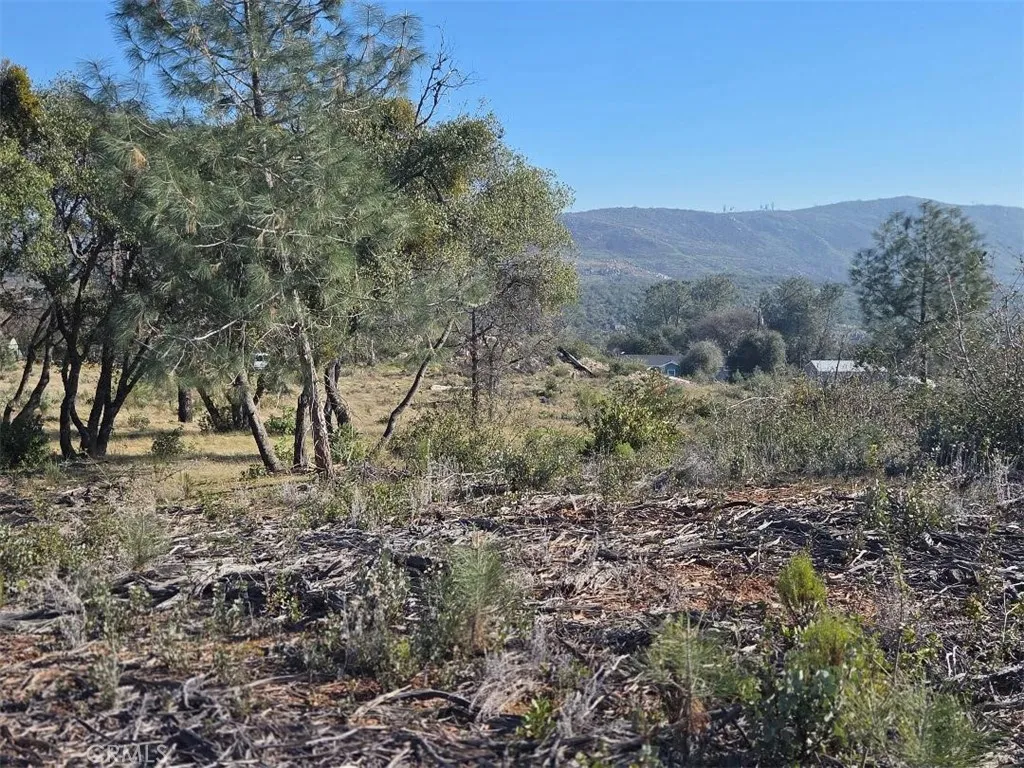 0 Nikki Jo Road Oroville, CA 95966 - Photo 8 of 22