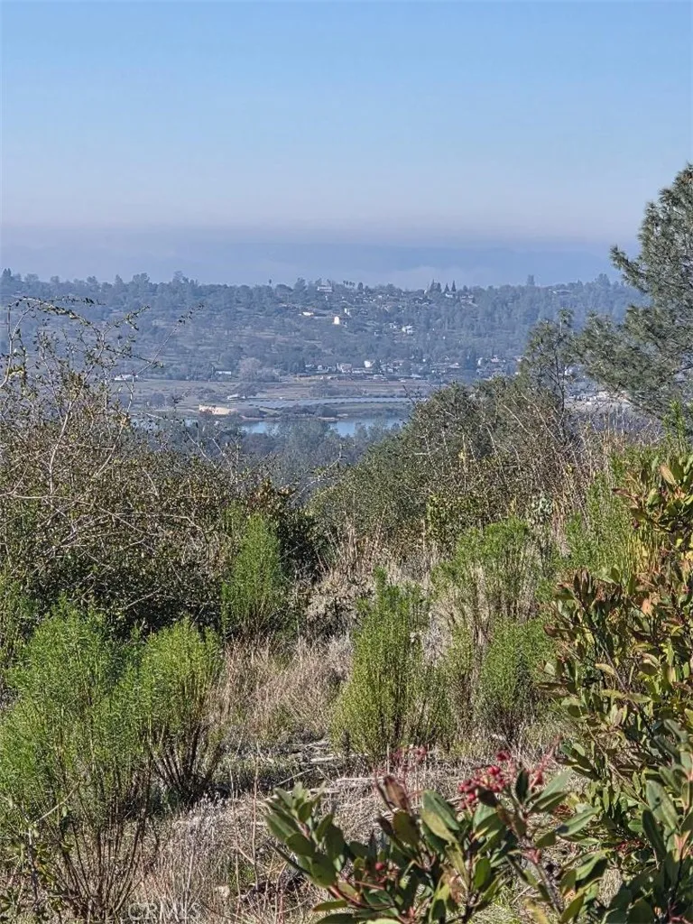 0 Nikki Jo Road Oroville, CA 95966 - Photo 10 of 22