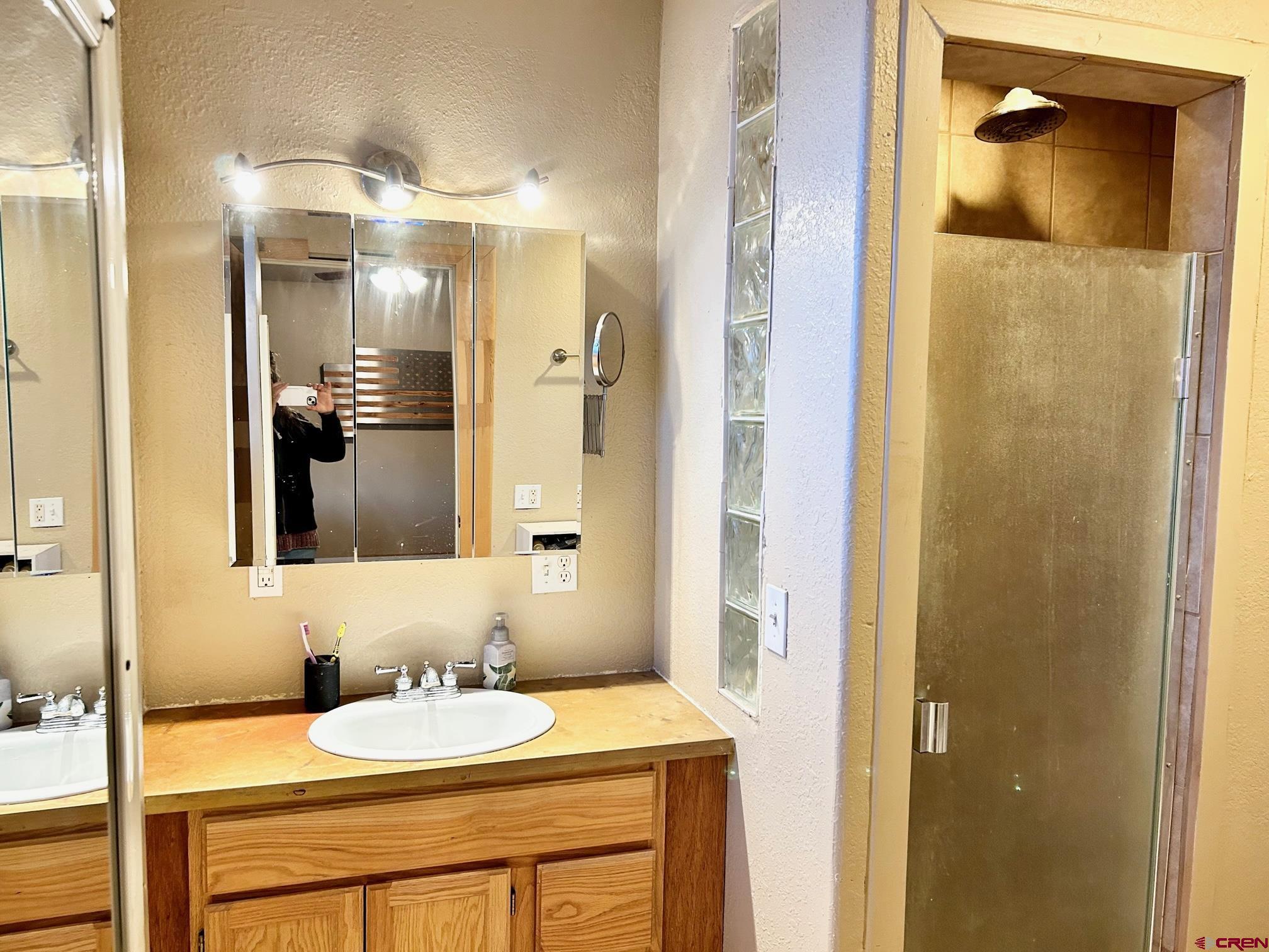 175 County Road Egnar, CO 81325 - Photo 18 of 35 a bathroom with a sink and a mirror