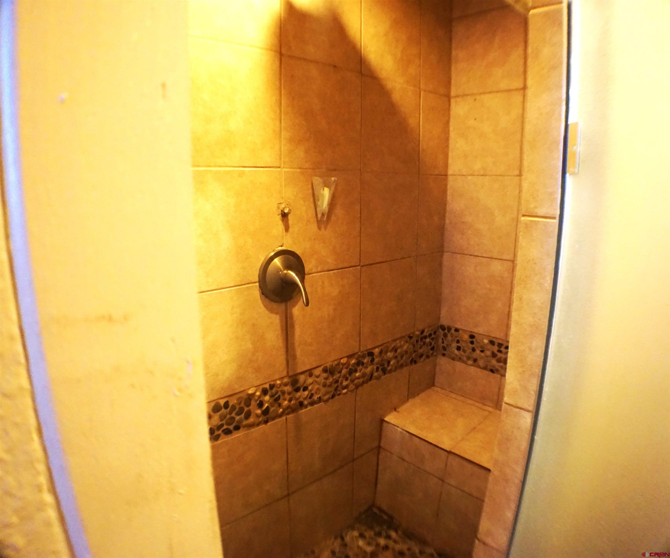175 County Road Egnar, CO 81325 - Photo 20 of 35 a bathroom with a shower