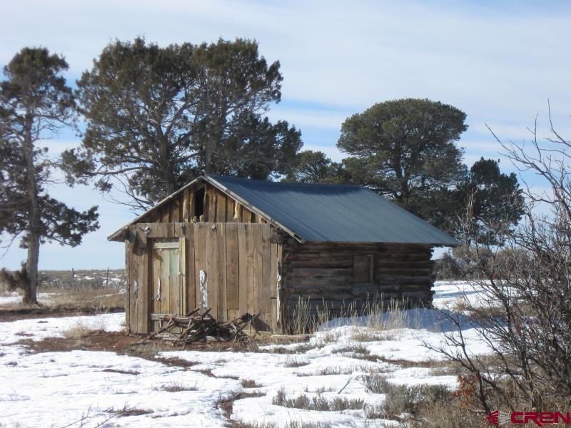 175 County Road Egnar, CO 81325 - Photo 29 of 35 a front view of a house with a yard
