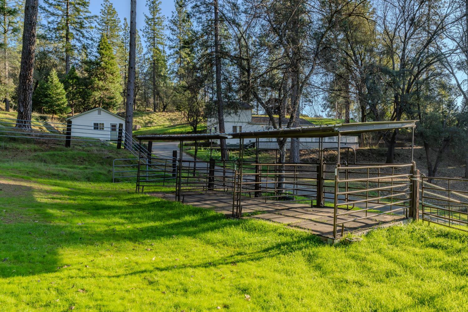 17630 Ridge Road Pine Grove, CA 95665 - Photo 61 of 80