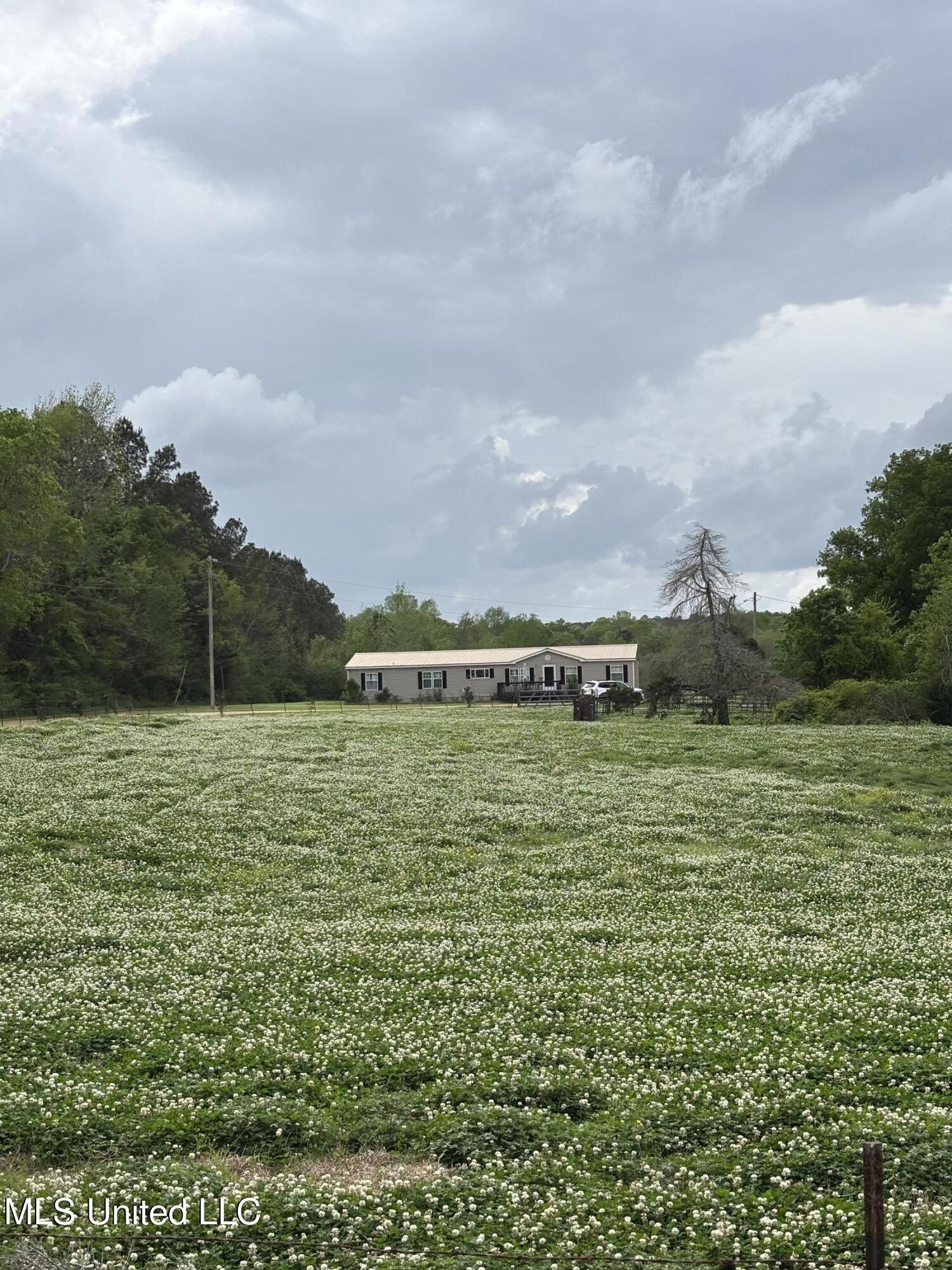 205 Jake Barnes Road Mendenhall, MS 39114 - Photo 23 of 42 IMG_0959