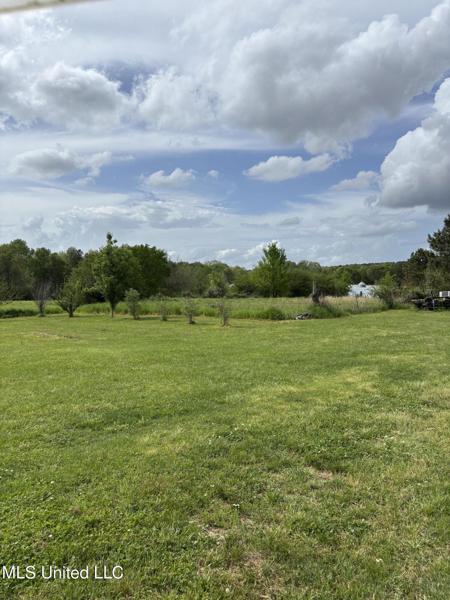 205 Jake Barnes Road Mendenhall, MS 39114 - Photo 35 of 42 IMG_0924
