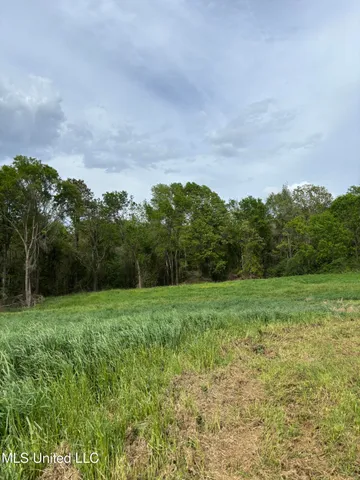 $368,000 | 205 Jake Barnes Road, Mendenhall, MS 39114