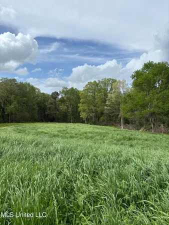 $368,000 | 205 Jake Barnes Road, Mendenhall, MS 39114