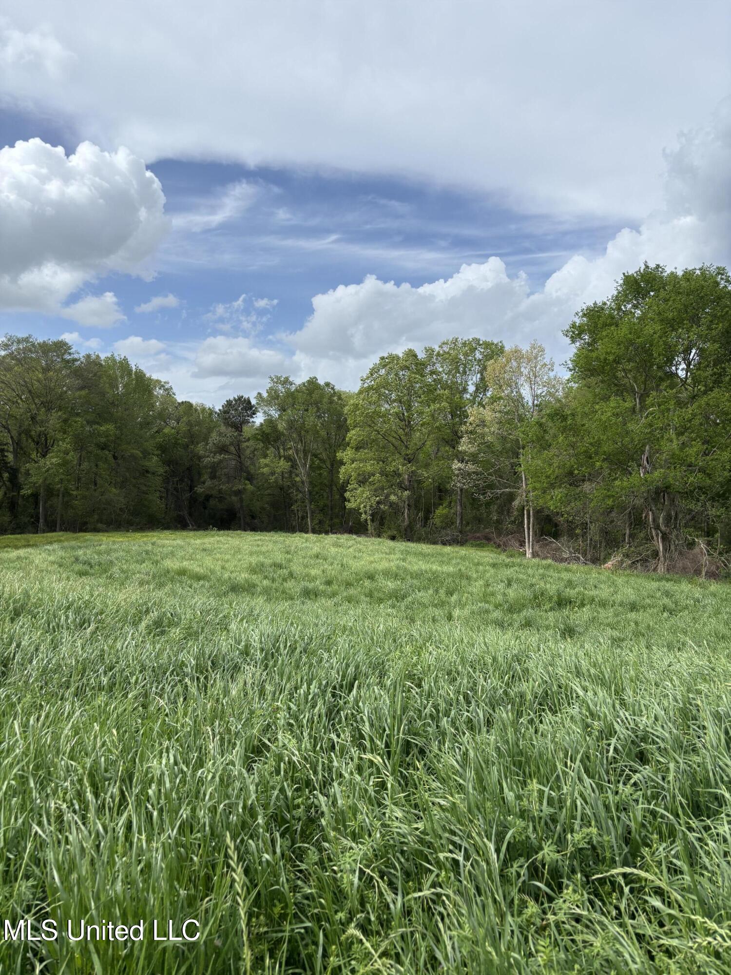 205 Jake Barnes Road Mendenhall, MS 39114 - Photo 37 of 42 IMG_0935