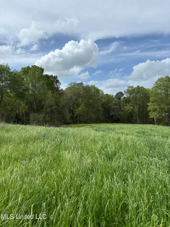 $368,000 | 205 Jake Barnes Road, Mendenhall, MS 39114