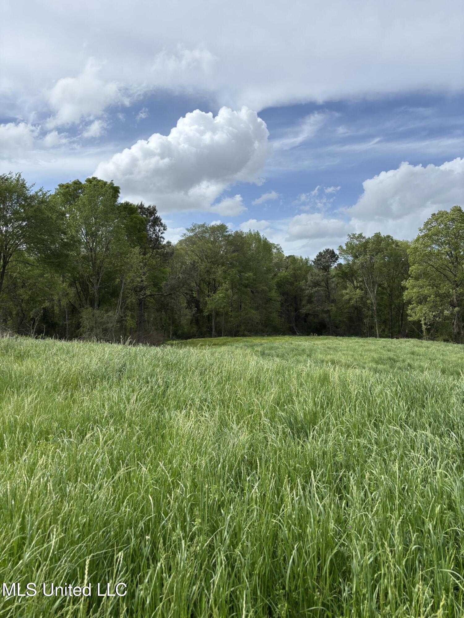 205 Jake Barnes Road Mendenhall, MS 39114 - Photo 38 of 42 IMG_0936