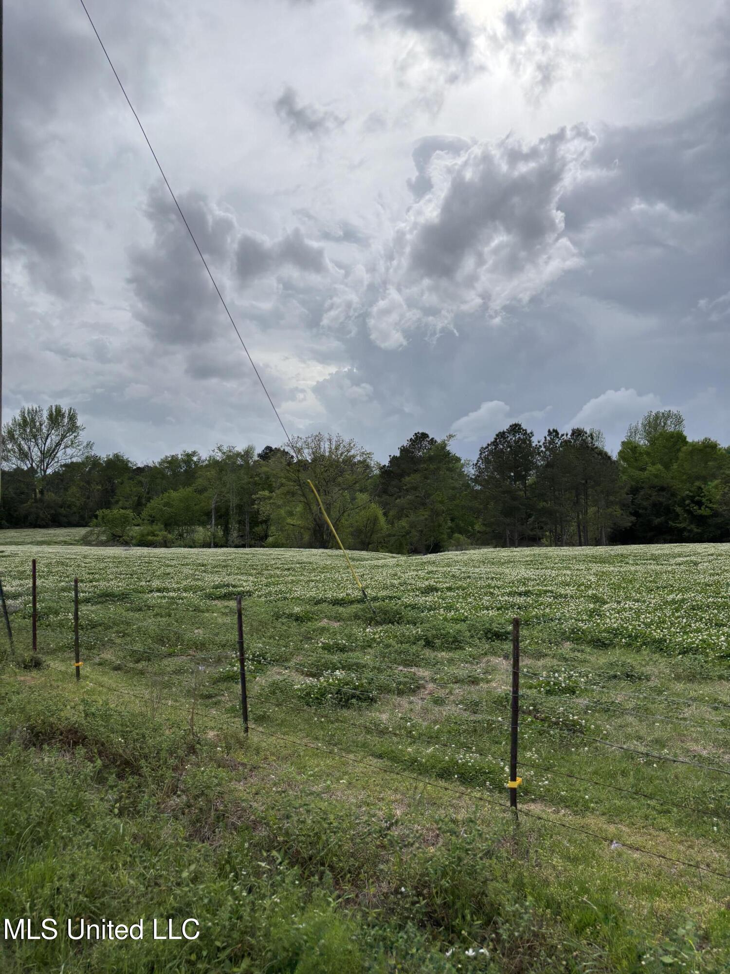 205 Jake Barnes Road Mendenhall, MS 39114 - Photo 39 of 42 IMG_0956