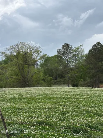 $368,000 | 205 Jake Barnes Road, Mendenhall, MS 39114