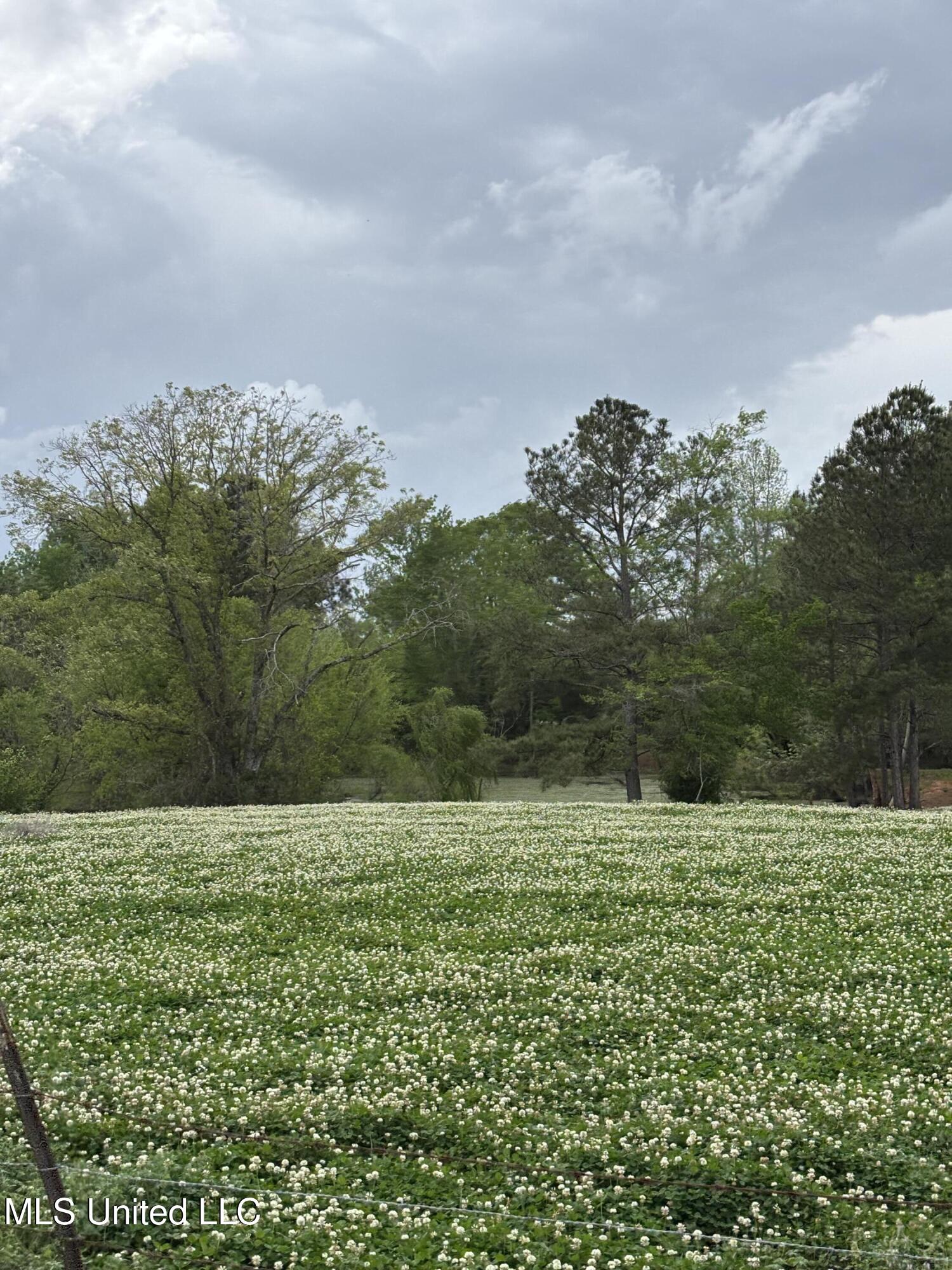 205 Jake Barnes Road Mendenhall, MS 39114 - Photo 40 of 42 IMG_0957