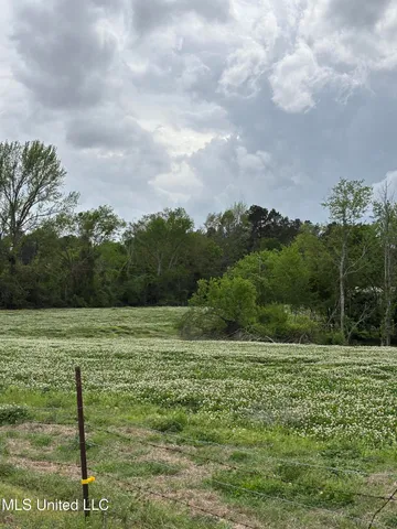 $368,000 | 205 Jake Barnes Road, Mendenhall, MS 39114