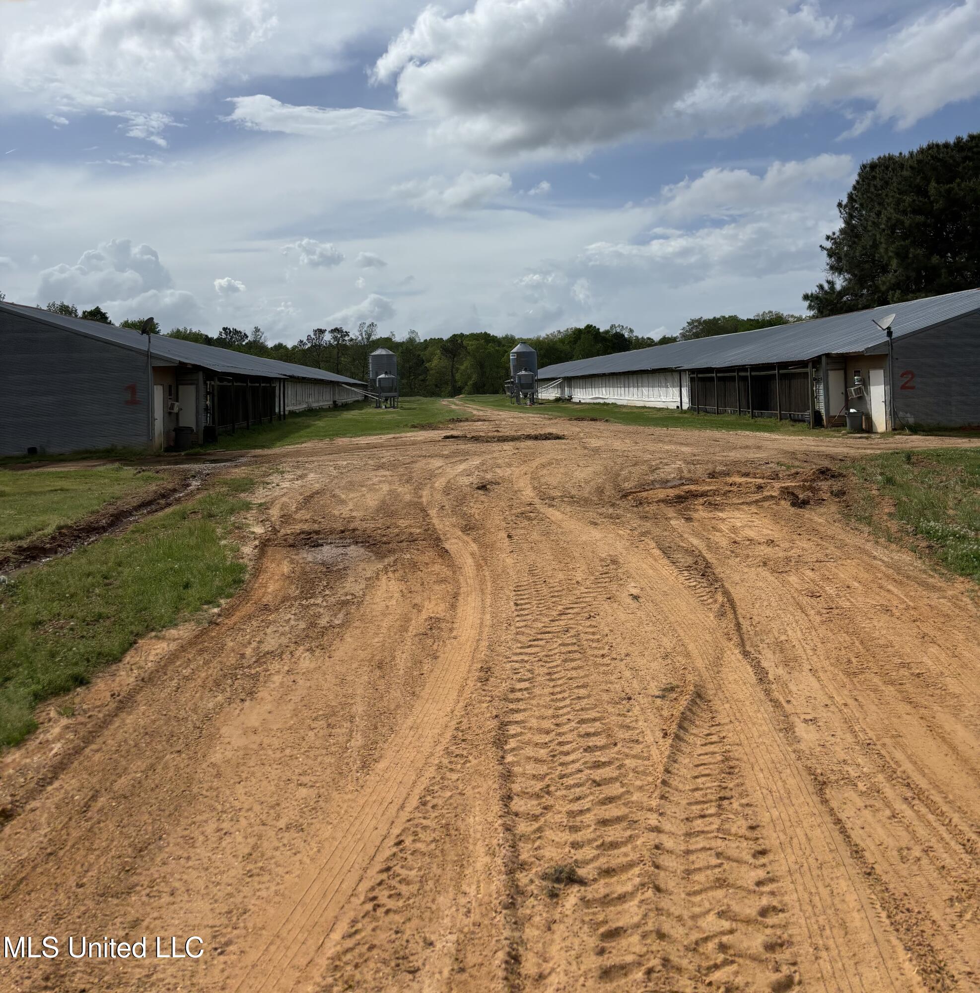 205 Jake Barnes Road Mendenhall, MS 39114 - Photo 5 of 42 IMG_0926