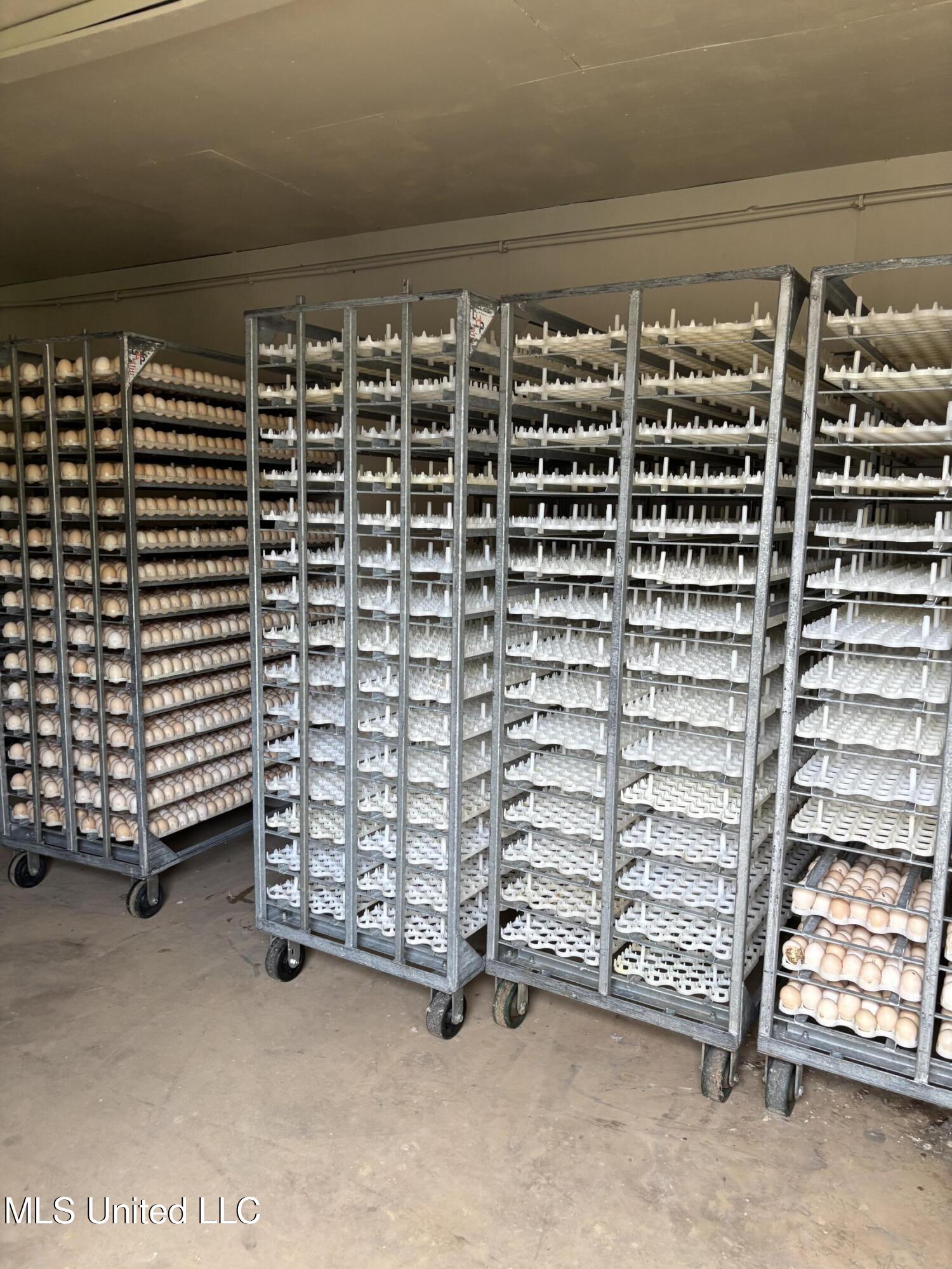 205 Jake Barnes Road Mendenhall, MS 39114 - Photo 8 of 42 IMG_0945