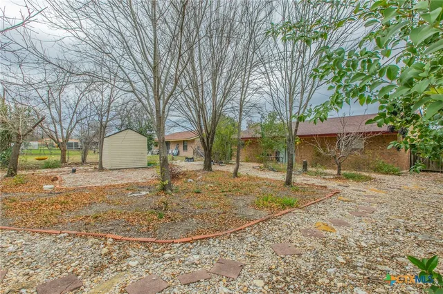 a view of a yard with a tree