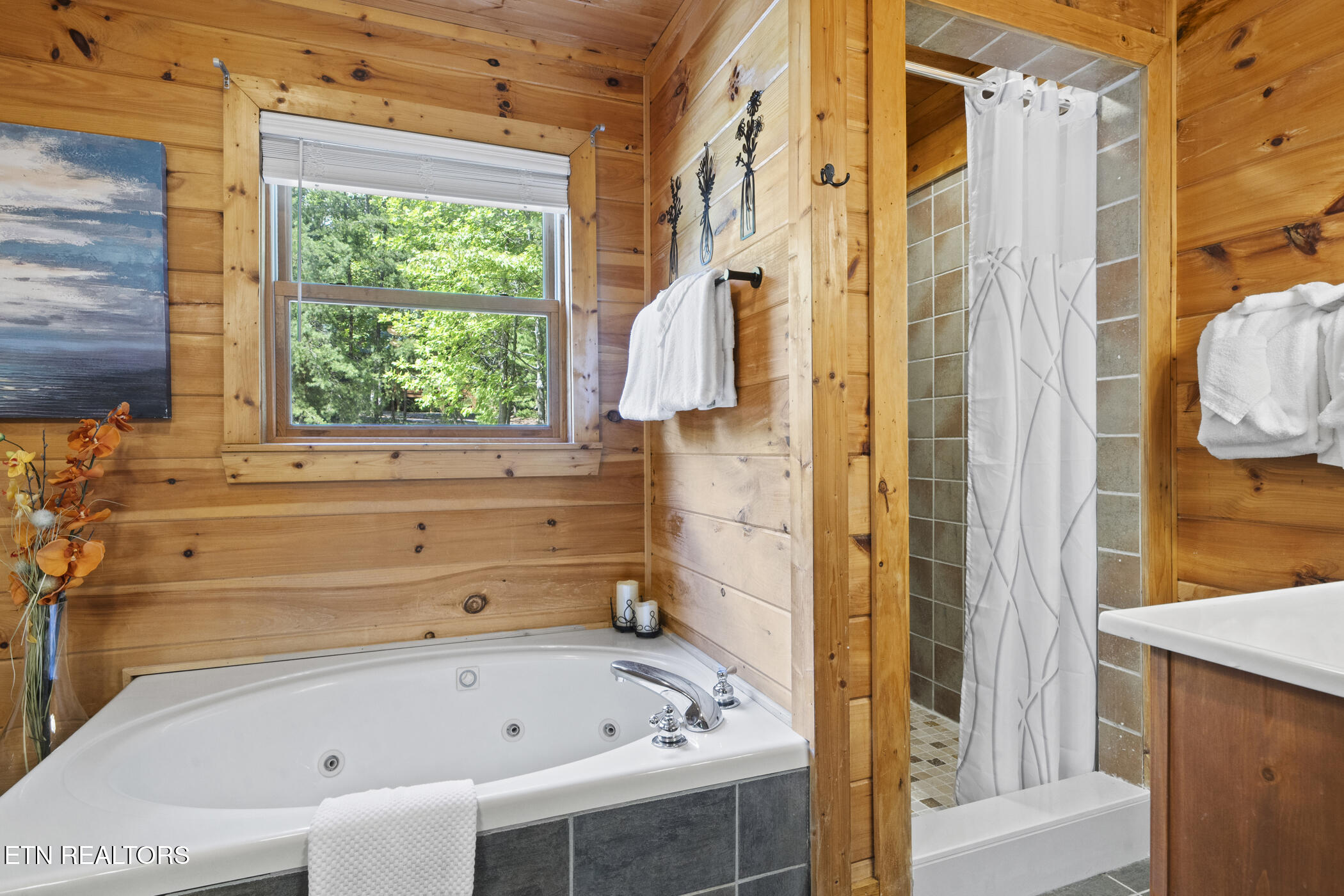 2829 Ridge Creek Circle Sevierville, TN 37876 - Photo 38 of 60 dsc00556