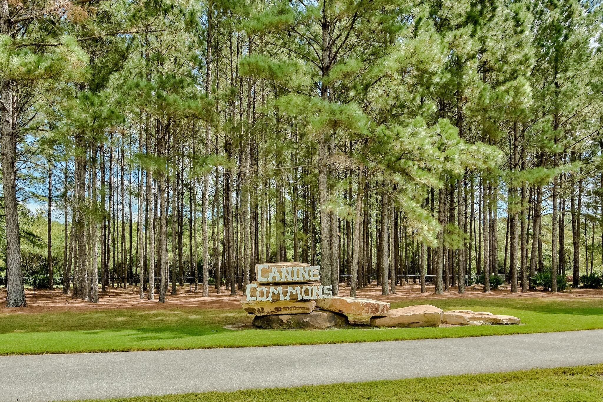 258 This Way, Unit LOT 79 Freeport, FL 32439 - Photo 79 of 80 a white house with a trees in the background