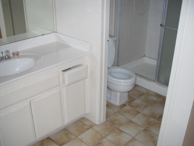 5525 East Thomas Road, Unit D04 Phoenix, AZ 85018 - Photo 6 of 9 Bathroom