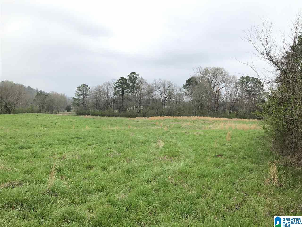 0 Boiling Springs Road, Unit 34 54 Ohatchee, AL 36271 - Photo 2 of 9