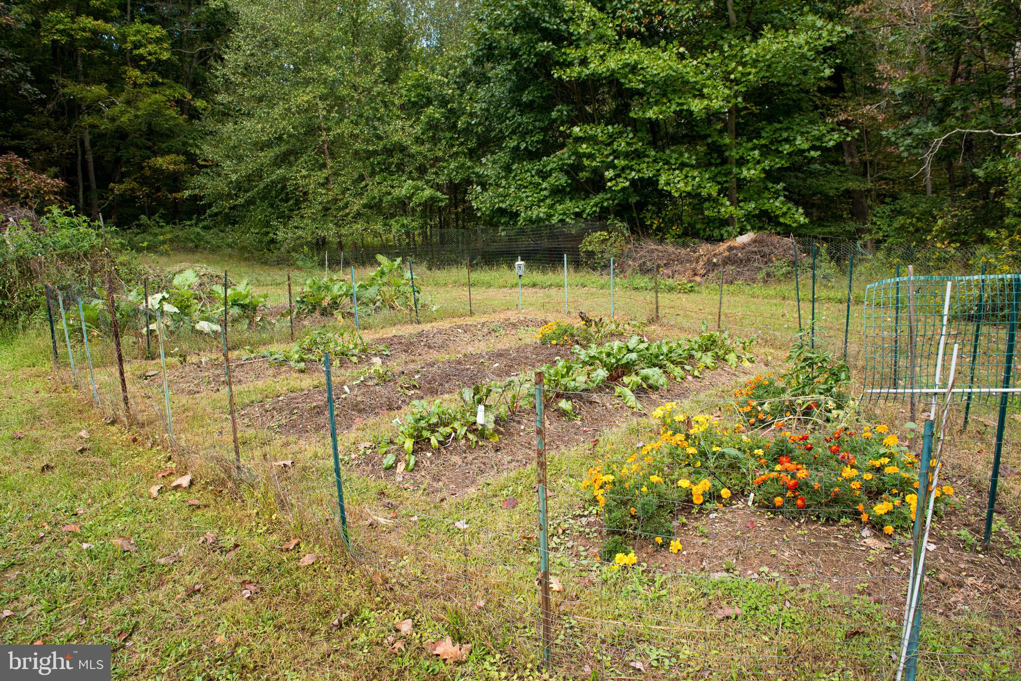 73 Woods Road Klingerstown, PA 17941 - Photo 28 of 73 Gallery Image 28