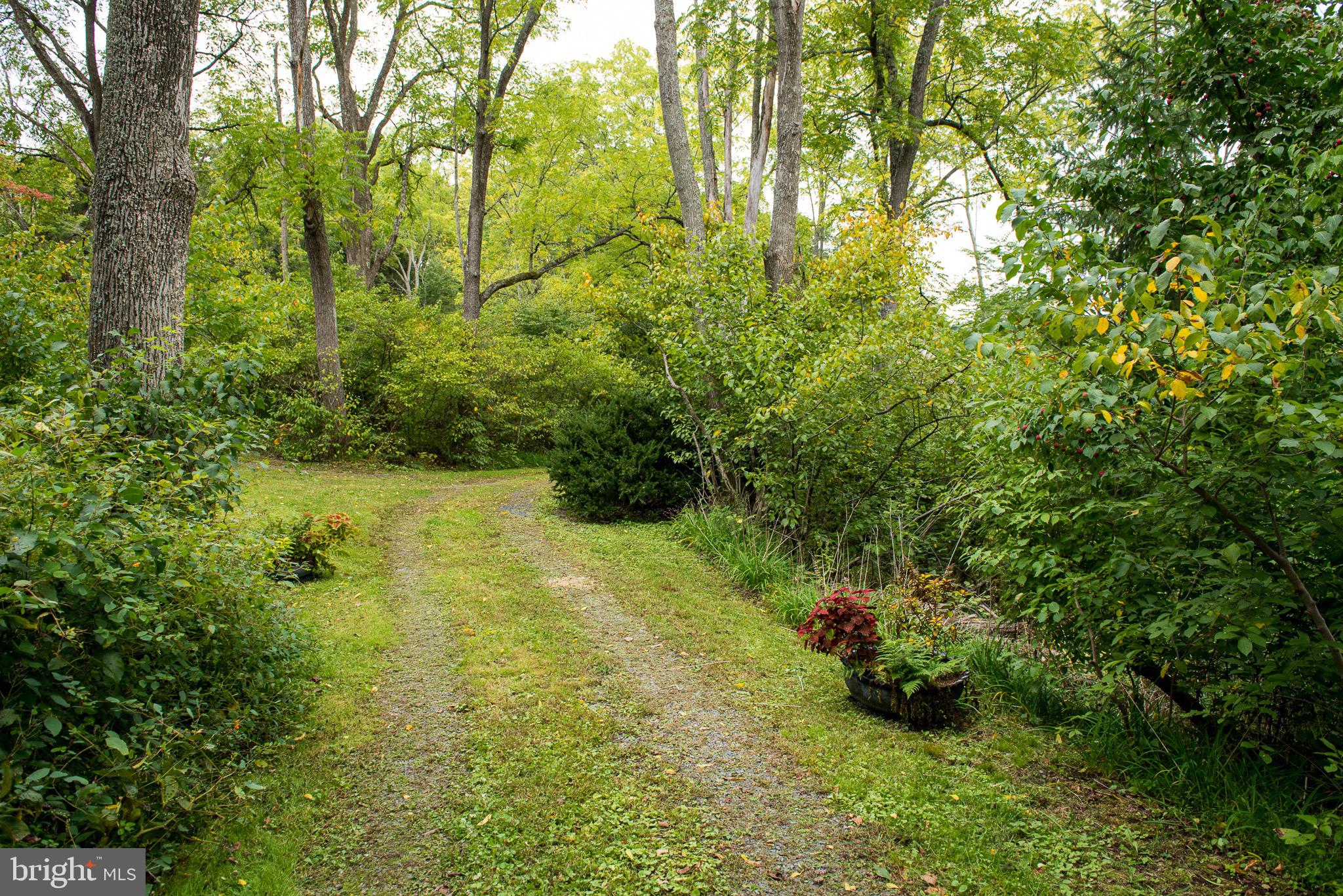 73 Woods Road Klingerstown, PA 17941 - Photo 5 of 73 Gallery Image 5