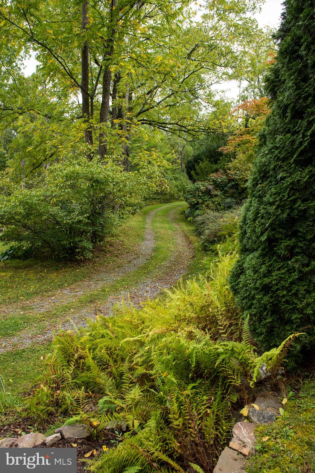73 Woods Road Klingerstown, PA 17941 - Photo 8 of 73 Gallery Image 8