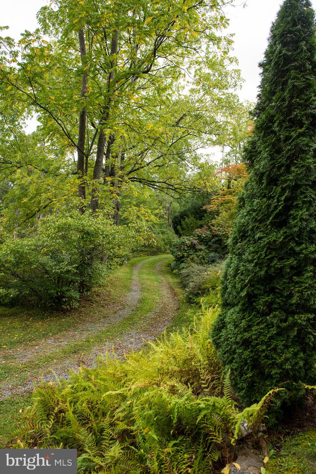 73 Woods Road Klingerstown, PA 17941 - Photo 9 of 73 Gallery Image 9