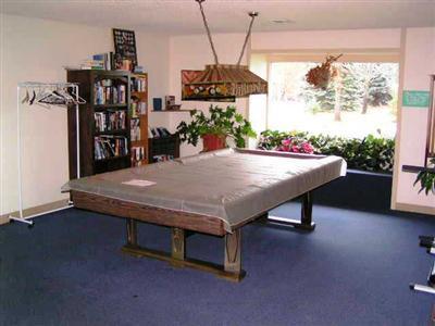222 Ollis Road, Unit 66 Cave Junction, OR 97523 - Photo 14 of 15 Pool table in the clubhouse