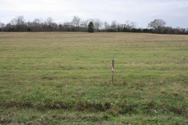 12 Pyles Road Chapel Hill, TN 37034 - Photo 2 of 7 Gallery Image 2