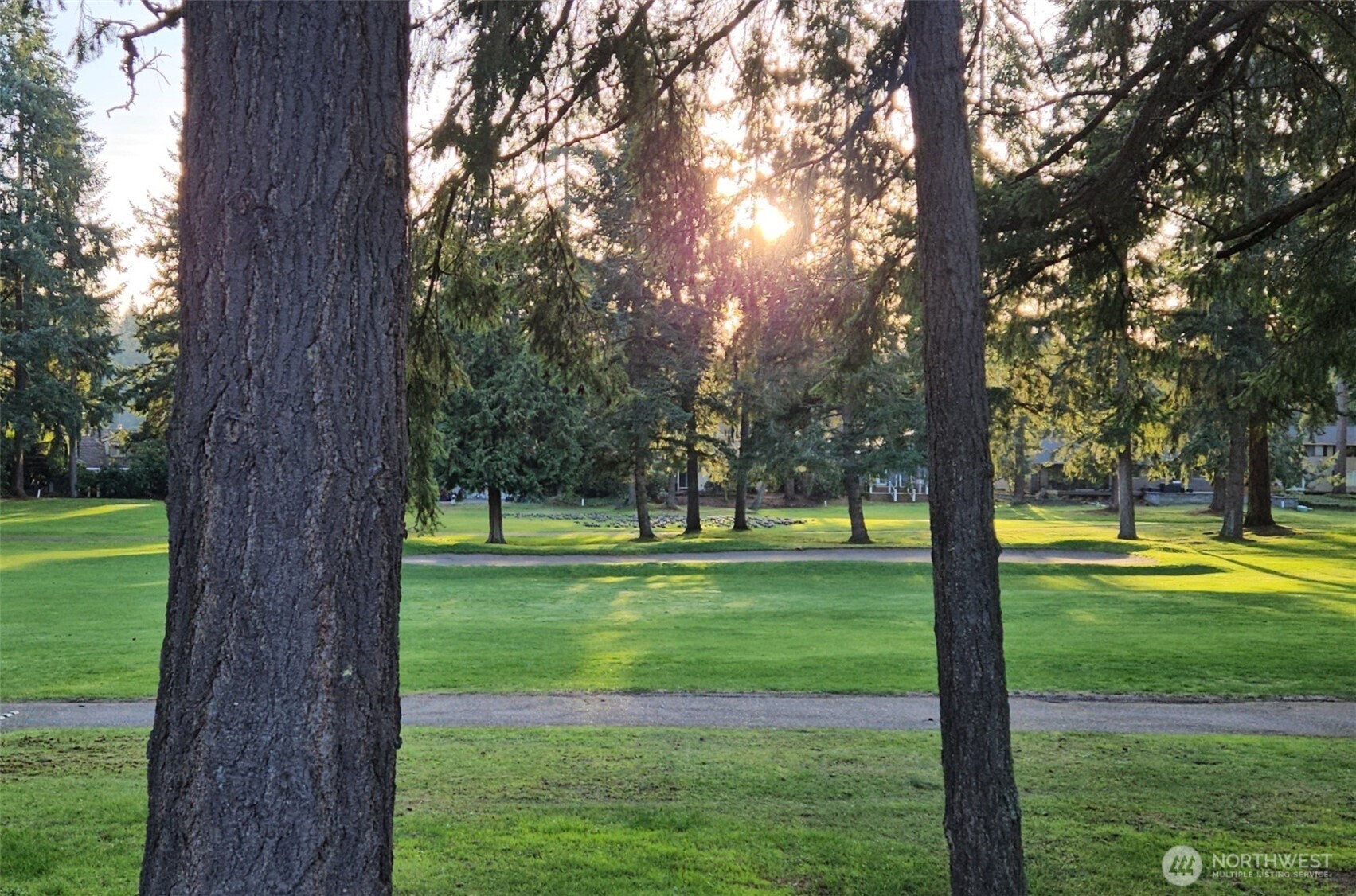 2625 Southwest 320th Place Federal Way, WA 98023 - Photo 35 of 39 a view of a trees in a park